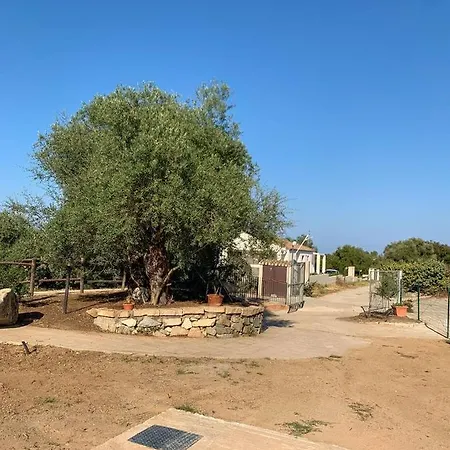 Casa A Due Passi Dalla Bari Sardo