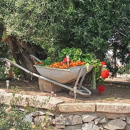 Casa vacanze Casa A Due Passi Dalla