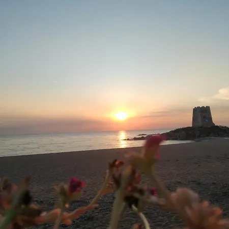 Dom wakacyjny Sardegna 