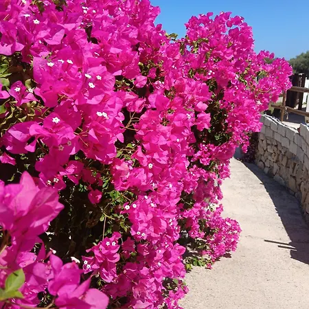 Sardegna 